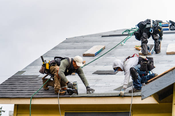 Professional Roofing technician working in Okahumpka, FL